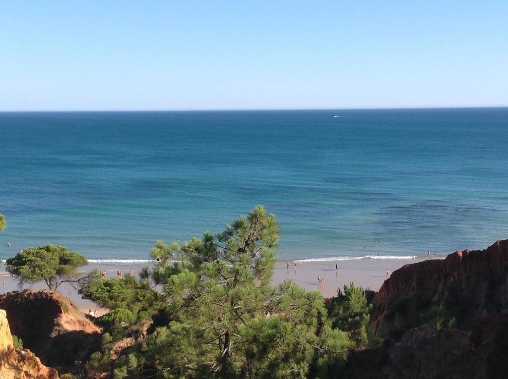 אלבופיירה Sailing Studio Acoteias מראה חיצוני תמונה