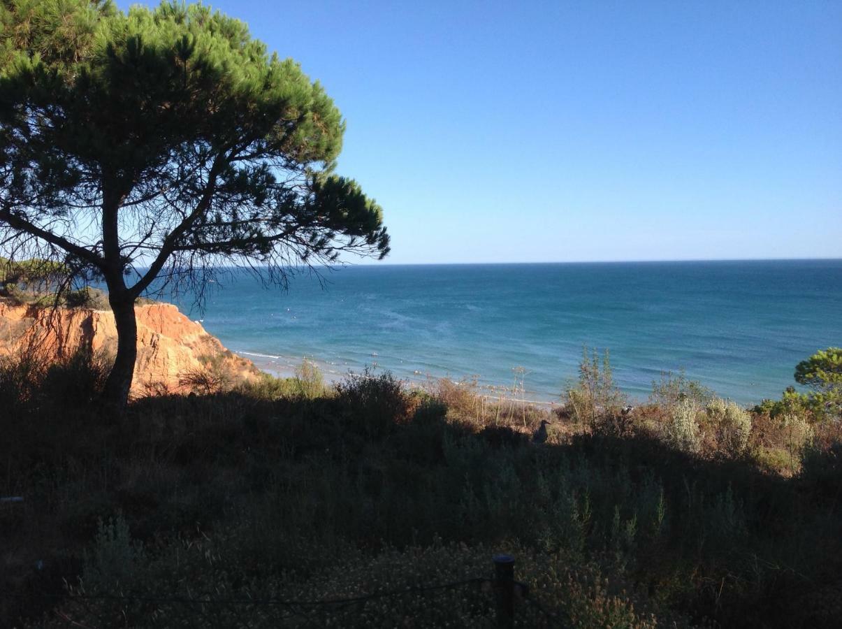 אלבופיירה Sailing Studio Acoteias מראה חיצוני תמונה